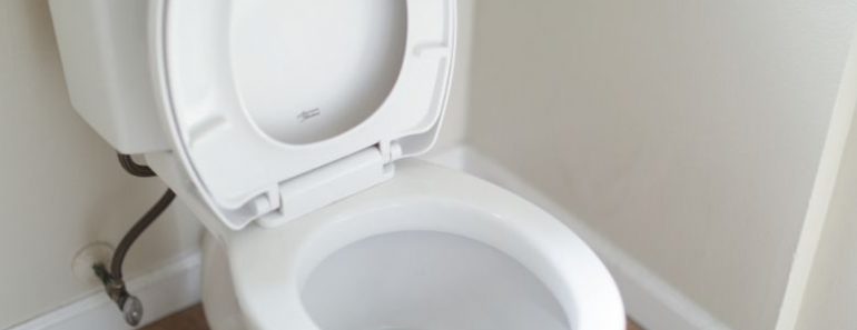 Pour Dish Soap In Your Toilet For This Brilliant Reason!